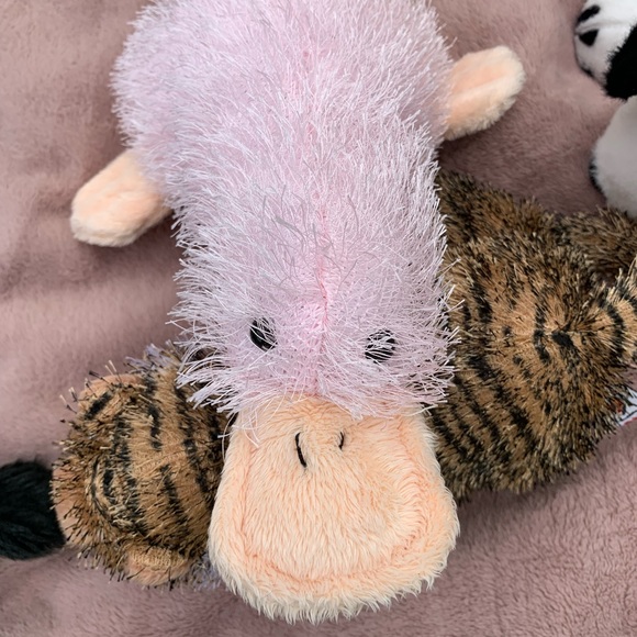 pink platypus webkinz